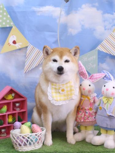 20240307初ちゃん